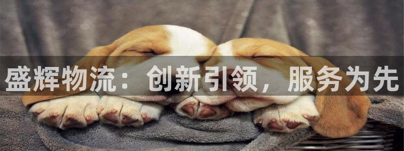 28圈登录流程:盛辉物流:创新引领,