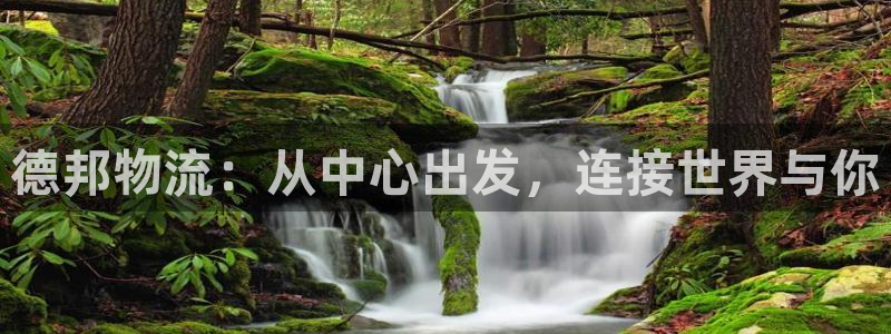 28圈注册网站多少:德邦物流:从中心