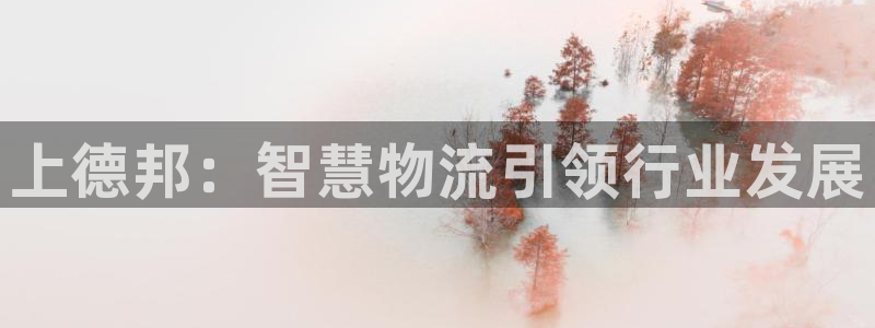 28圈注册送:上德邦:智慧物流引领行