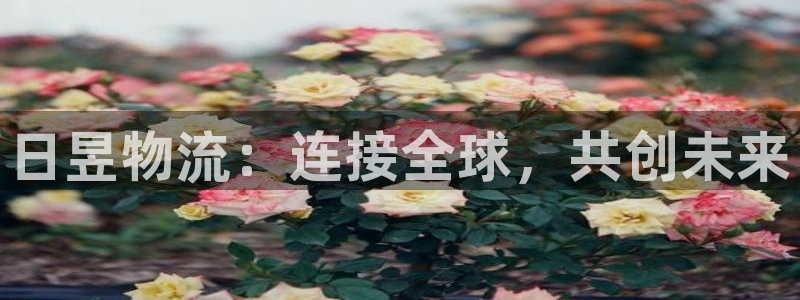 28圈图片