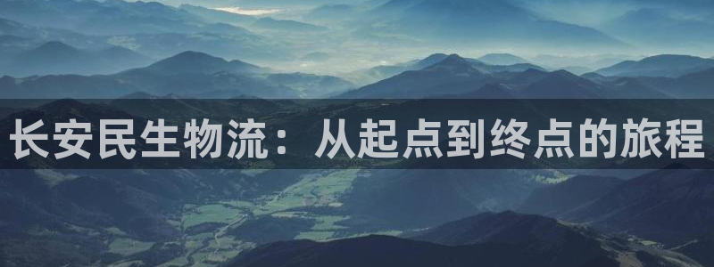28圈注册上限是啥意思:长安民生物流
