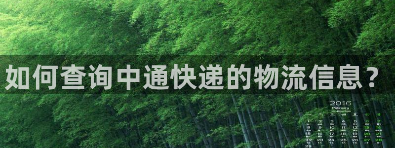 28圈官方版网站