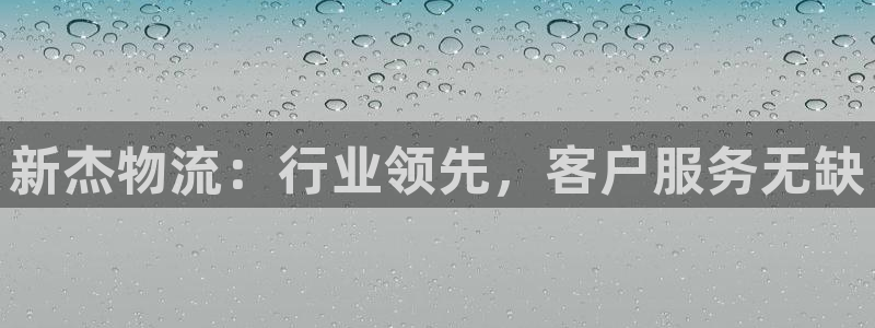 28圈怎么下载:新杰物流:行业领先,