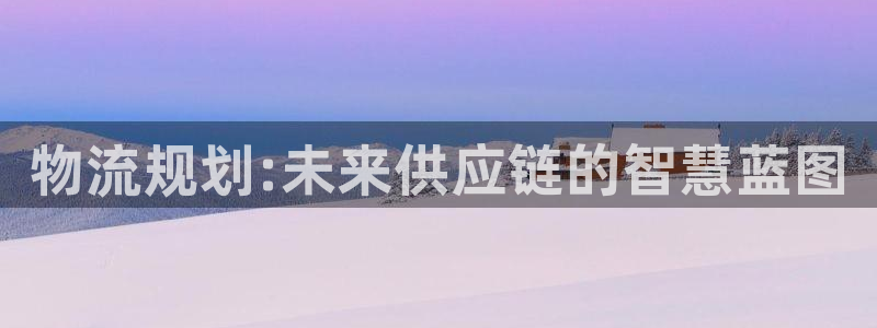 28圈怎么注册:物流规划:未来供应链