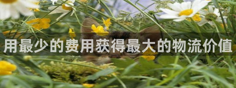 28圈加拿大app预测:用最少的费用