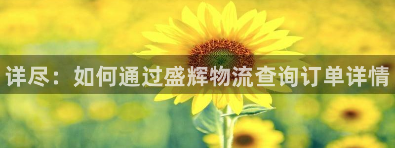 28圈app怎么注册账号