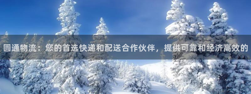28圈注册入口与教程