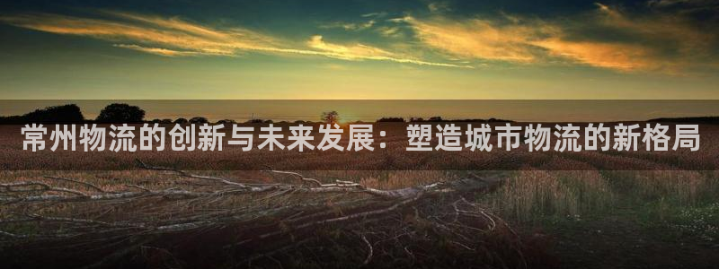 28圈充值不到账