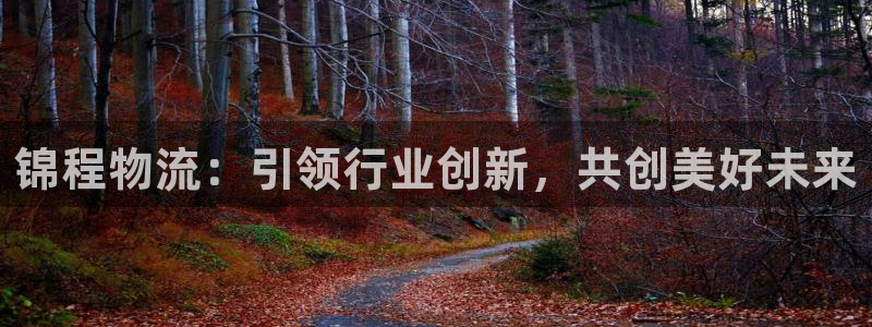 28圈注册登录链接：锦程物流：引领行业创新，共创美好未来