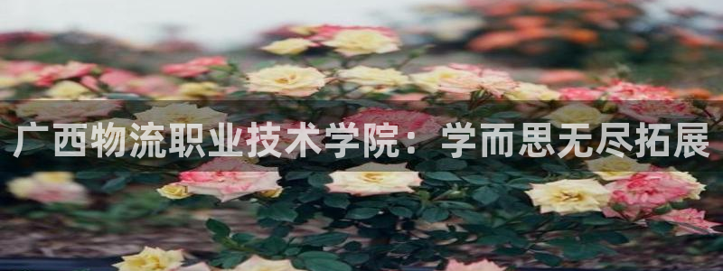 28圈推广链接是多少个