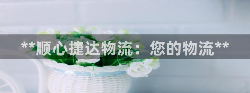 28圈圈助手：**顺心捷达物流：您的物流**