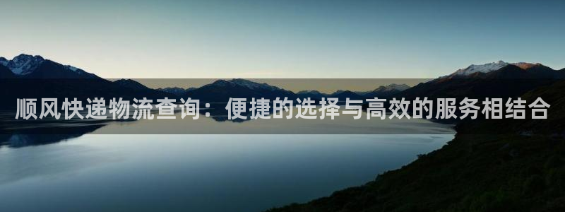 28圈是什么软件：顺风快递物流查询：便捷的选择与高效的服务相