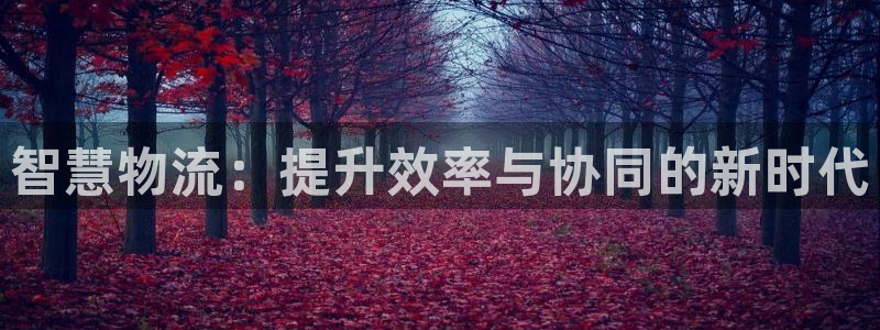 28圈网站怎么注册