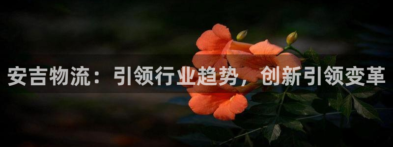 28圈.ccmapp：安吉物流：引领