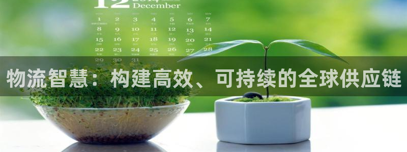 28圈激活码:物流智慧:构建高效、可
