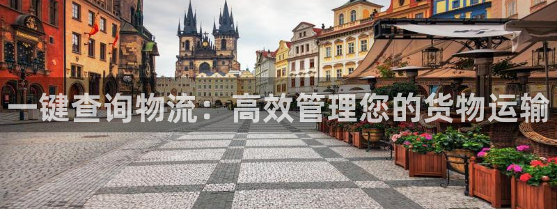 28圈能退款吗：一键查询物流：高效管