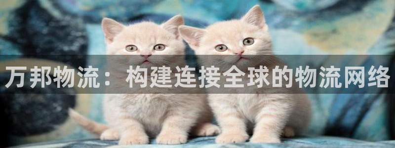 28圈登录网：万邦物流：构建连接全球