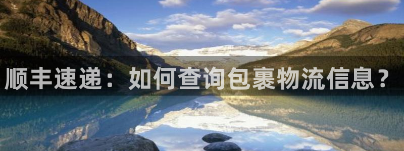 28圈加拿大官网:顺丰速递:如何查询