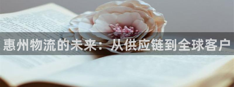 28圈官网开奖结果预测查询：惠州物流