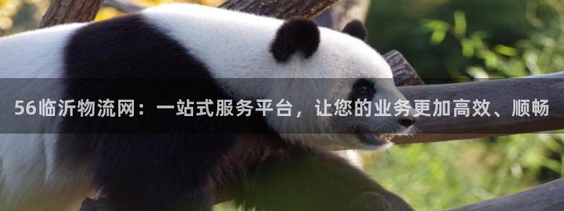 28圈加拿大6.0：56临沂物流网：