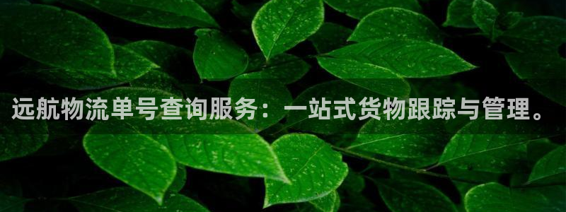 28圈怎么下载教程：远航物流单号查询