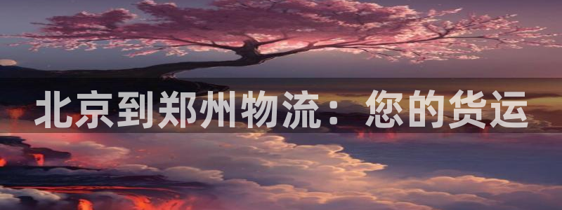 28圈反水怎么算：北京到郑州物流：您