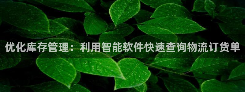 28圈忘记账号：优化库存管理：利用智