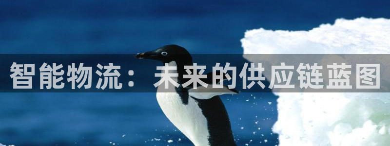 28圈网赌有什么风险:智能物流:未来