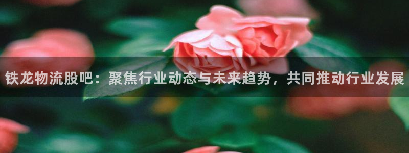 28圈官方网站:铁龙物流股吧:聚焦行