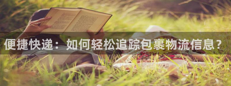 28圈pg麻将胡了：便捷快递：如何轻