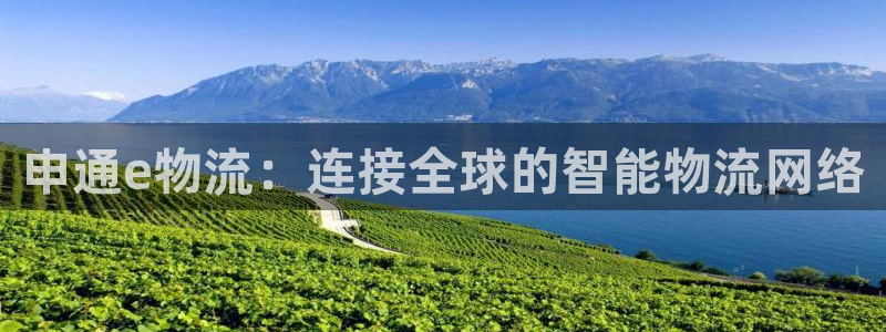 28圈官网平台:申通e物流:连接全球