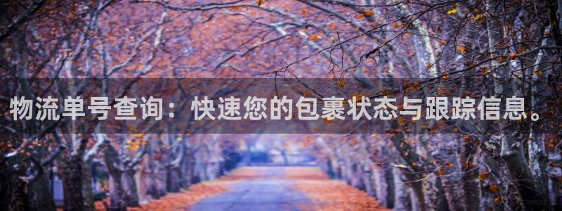 麻将128圈：物流单号查询：快速您的