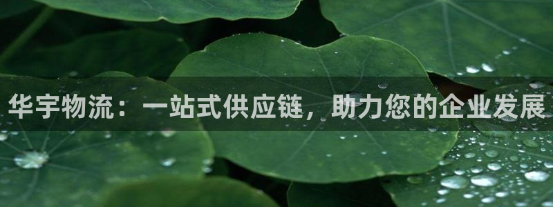 28圈电子：华宇物流：一站式供应链，