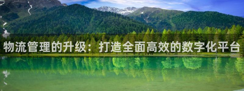 28圈充值不到账怎么回事：物流管理的