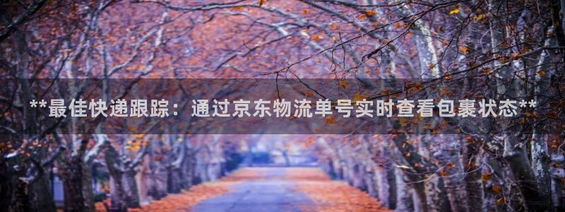 28圈.ccmpc28：**最佳快递