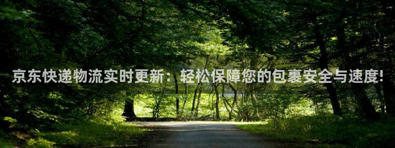 28圈:京东快递物流实时更新:轻松保