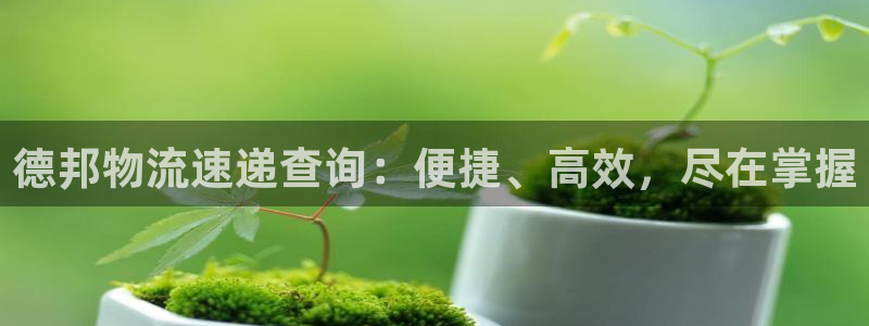 28圈软件堵什么反什么：德邦物流速递查询：便捷、高效，尽在掌