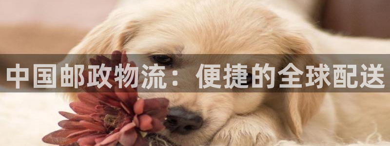 28圈官网版2024：中国邮政物流：