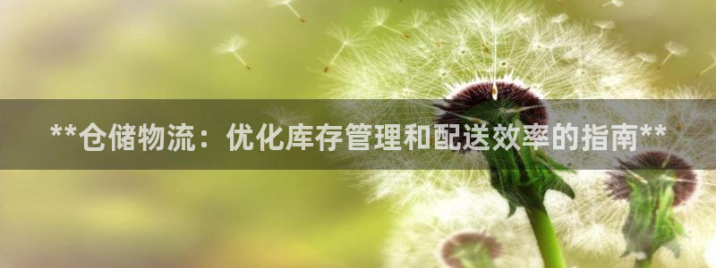 28圈pc预测:**仓储物流:优化库