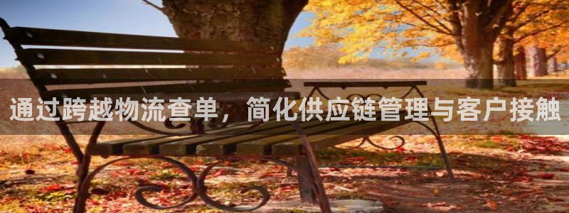 28圈充值不到账什么原因:通过跨越物