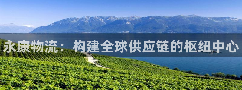 28圈官网预测：永康物流：构建全球供