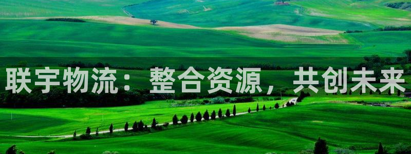 28圈如何看计划:联宇物流:整合资源