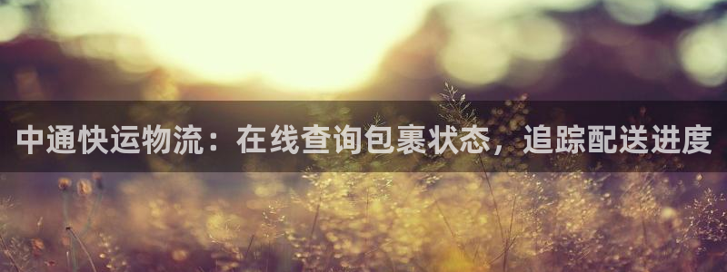 28圈充值不到账怎么办