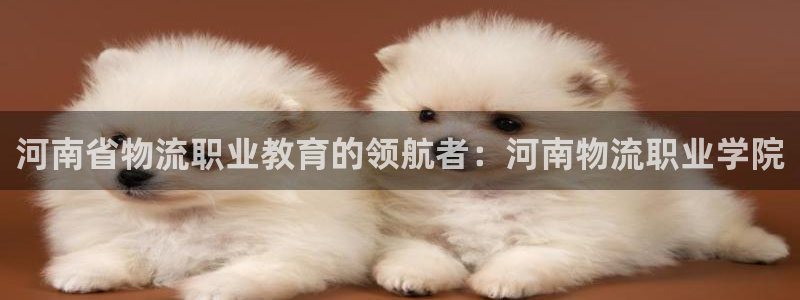 28圈注册网站链接怎么弄：河南省物流