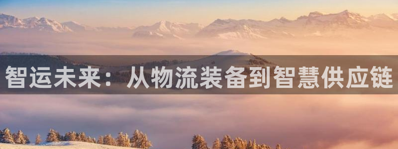 28圈官方版正版：智运未来：从物流装