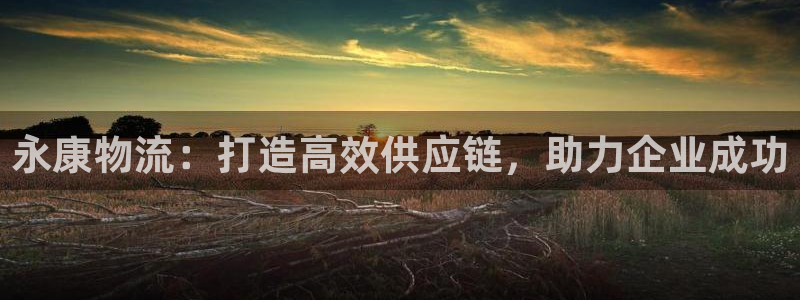 28圈分分28预测：永康物流：打造高