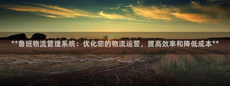 28圈女王中奖记录查询：**鲁班物流