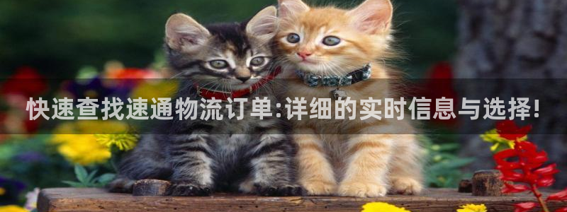 28圈链接：快速查找速通物流订单:详