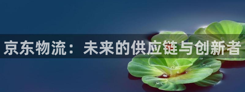 28圈圈助手：京东物流：未来的供应链