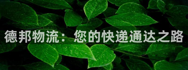 28圈.ccmapp:德邦物流:您的